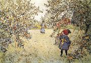Apple Harvest Carl Larsson